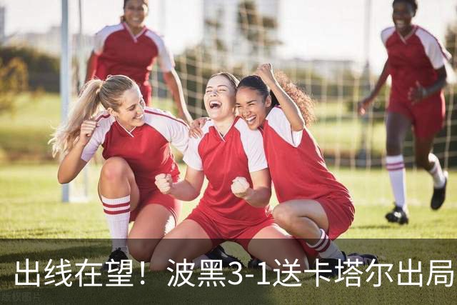 出线在望！波黑3-1送卡塔尔出局 阿拉依贝戈维奇破门哲科造乌龙