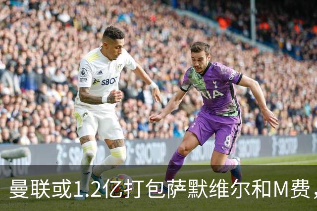 曼联或1.2亿打包萨默维尔和M费，必须先卖掉拉什福德！中场廉价新目标曝光