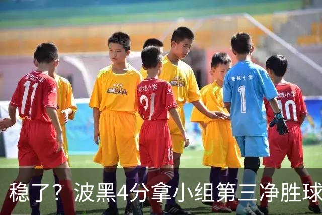 稳了？波黑4分拿小组第三净胜球-1 大概率晋级淘汰赛