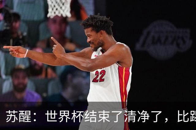 苏醒：世界杯结束了清净了，比踢到一半就淘汰的那种清净好