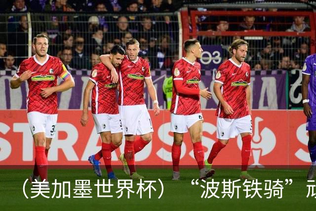 （美加墨世界杯）“波斯铁骑”顽强两连平 伊朗队期待更进一步